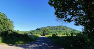 POI 3 - Vue sur le Mont Larron depuis la croix de Lachaud 