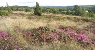 Sentier des bergers et tuiliers_2