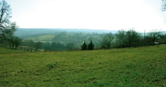 Sentier Puy du Thé - piste 4_4