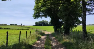 Sur le chemin du Puy la Brousse (4)