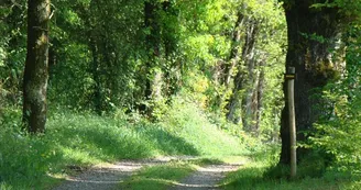 Circuit des rives de la Charente_1