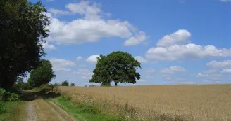 Circuit des rives de la Charente_2