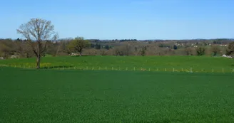 vue campagne Aureil