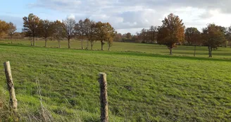 Vue sur la campagne