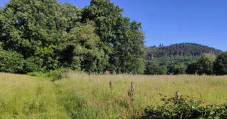 Vue sur le Mont Larron 