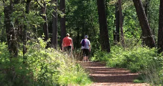 Sentier de randonnée "itinéraire d'un briquetier" Les Rairies