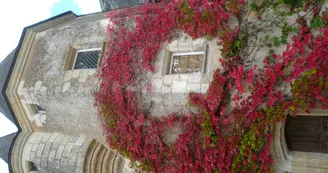 Randonnée pédstre- Bazouges sur le Loir