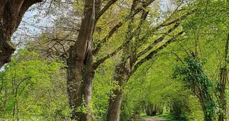 chemin- coulaines © AS OT Le Mans Métropole