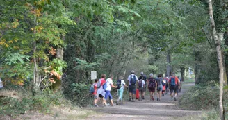 foret chambiers - sentier de randonnée "itinéraire d'un briquetier" 