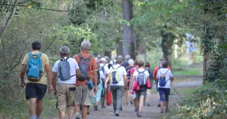 foret chambiers - sentier de randonnée "itinéraire d'un briquetier" 