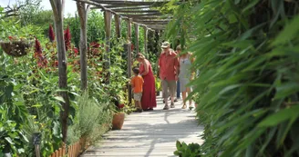 Le Jardin Potager © Ville du Mans Alain Szczuczynski-02