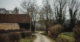 Circuit de la forêt de Mézières