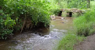 Niort - sentier au fil du temps 