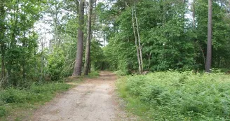 vallee-de-la-sarthe-chemin-saint-jean-du-bois.jpg