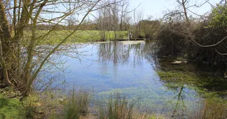 La fontaine de Boine