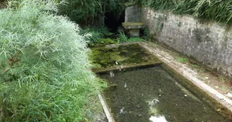 Champniers lavoir des Rossignols