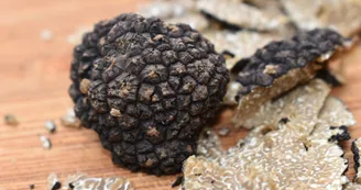 Truffes