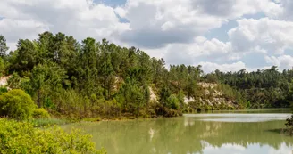 Etangs de Touvérac