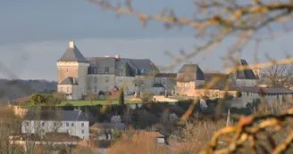 Château de Chalais