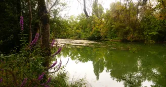 Circuit du fleuve et des vignes