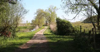 Marais de Brouage