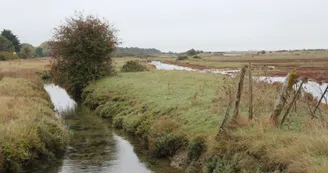 Marais de la Seudre