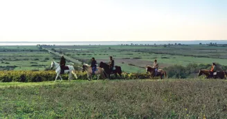 Route des Cardinaux en Pays de Haute-Saintonge randonnee equestre d Artagnan