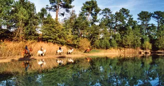 Route des Cardinaux en Pays de Haute-Saintonge randonnee equestre d Artagnan 9