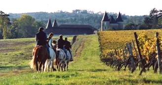 Route des Cardinaux en Pays de Haute-Saintonge randonnee equestre d Artagnan 10