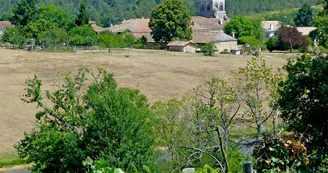 Circuit pedestre De Bois et de Vigne - N5 - St-Martin-de-Coux