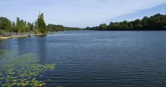 Circuit VTT N24 circuit de l etang St-Maigrin Vignoble du Cognac Champagne 8