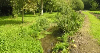 Ruisseau Le Villiers Ste-Lheurine Haute-Saintonge Vignoble du Cognac