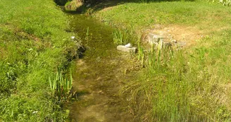 Moulin Enrage Cierzac vallee du Ne Vignoble du Cognac Haute-Saintonge ruisseau