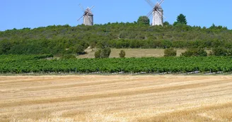 Circuit pedestre Le moulin de Chaillot N18 St-Germain-de-Vibrac