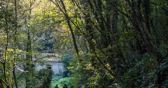 Circuit du fleuve Charente et des vignes