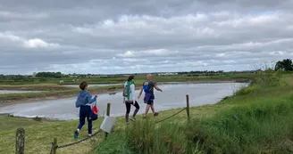 Randonnée pédestre Remontée de la Seudre 2024