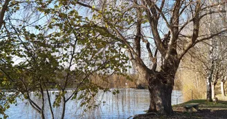 Bords de Charente Saint-Yrieix-sur-Charente