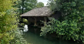 Lavoir à Touvre