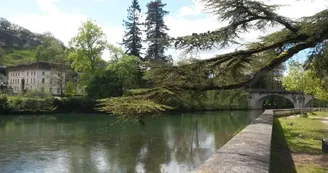 Quai de la Charente