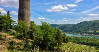 GTA VTT Arras-sur-Rhône