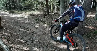 GTA VTT Rochepaule