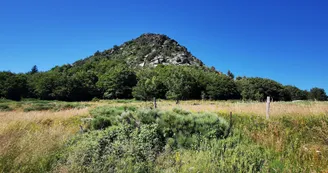 Le Mont de Gerbier