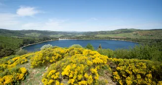 Le lac d'Issarlès