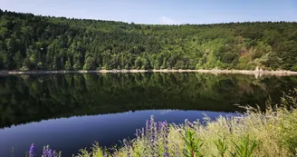 Lac de La Palisse