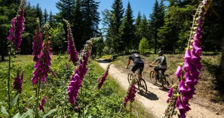 GTA VTT Saint-André en Vivarais