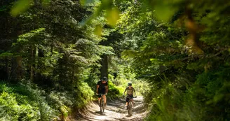 GTA VTT Saint-André en Vivarais