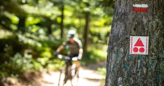 GTA VTT Saint-Adré en Vivarais