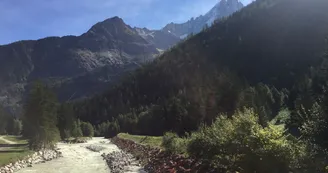 VTT Chamonix les bois 2