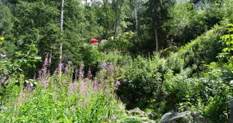 cascade du dard