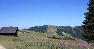 Randonnée Les Houches